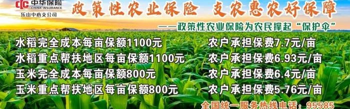 破圈！乐山教师走出校园、站上国际赛场，国家体育总局为他点赞