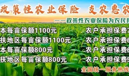破圈！乐山教师走出校园、站上国际赛场，国家体育总局为他点赞